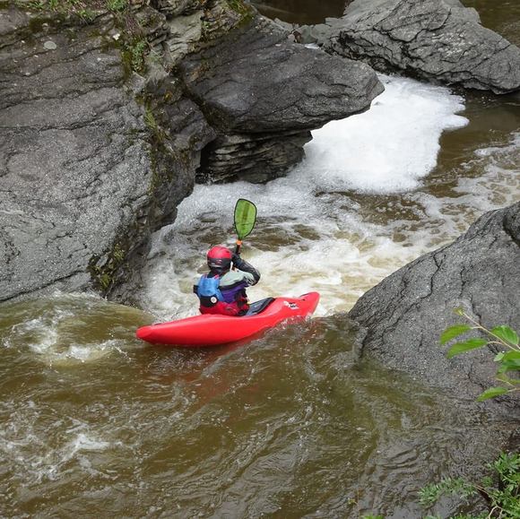 Meet your Posher, Kate - Picture 1 of 1